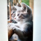 Infrared Heater Image Flexible Wall-Hung Heating Panel ECONOMY Picture CAT