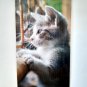 Infrared Heater Image Flexible Wall-Hung Heating Panel ECONOMY Picture CAT
