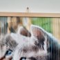 Infrared Heater Image Flexible Wall-Hung Heating Panel ECONOMY Picture CAT