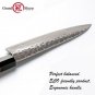 Handmade Chef Knife 3 layers Japanese AUS-10 steel Kitchen Knives ECO Friendly