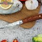 Paring Knife 3.5 Inch Japanese VG10 Damascus Stainless Steel PRO Kitchen Knives