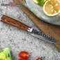 Paring Knife 3.5 Inch Japanese VG10 Damascus Stainless Steel PRO Kitchen Knives