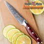 2 pcs Knife Set Damascus Japanese Stainless Steel  Santoku Utility Chef Knives