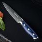 Kitchen Knife Set 2 pcs Chef's Knives Japanese Damascus Steel Blue Handle Tools