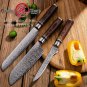 3 pcs Chef Knife Set vg10 Japanese Damascus Steel Santoku Bread Boning Knife