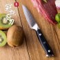 3.5 Inch Paring Knife Damascus Steel Mosaic Rivet G10 Handle Peeling Fruit Chef