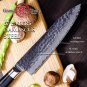Chef Knife 8 Inch 67 Layers AUS10 Japanese Damascus Steel Kitchen Cooking Tools