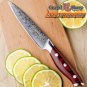 GRANDSHARP  5 Inch Utility  Knife  Damascus Stainless Steel Kitchen Knives