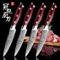 Steak Knife Set 4 pcs Damascus Kitchen Knives vg10 Japanese Damascus Steel Utility Knives