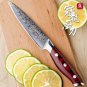 Steak Knife Set 4 pcs Damascus Kitchen Knives vg10 Japanese Damascus Steel Utility Knives