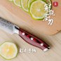 Steak Knife Set 4 pcs Damascus Kitchen Knives vg10 Japanese Damascus Steel Utility Knives