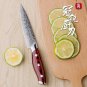 Steak Knife Set 4 pcs Damascus Kitchen Knives vg10 Japanese Damascus Steel Utility Knives