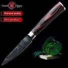 Paring knife 3.5 inch German Stainless Steel Damascus Laser Pattern Chef Kitchen