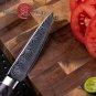 Paring knife 3.5 inch German Stainless Steel Damascus Laser Pattern Chef Kitchen