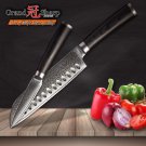 Knives Sets 2 pcs Santoku Paring Knife Set vg10 Japanese Damascus Steel Chef Knives 67 layers