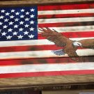 American Eagle 22 x 34