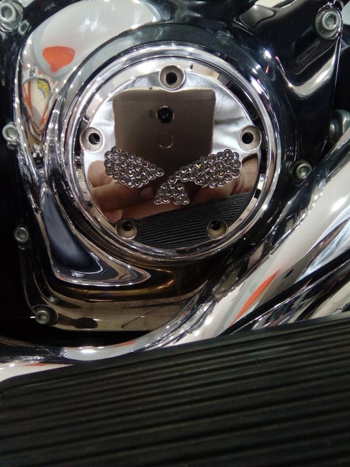 26159-4182-317CHR Harley Davidson Point Cover Chrome "Willie's Eyes"