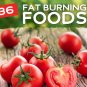 36 Fat Burning Potent Foods (with MRR + Free Shipping)