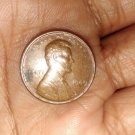 Rare 1969 D Error Wheat Penny- 19 mm 95 Percent Copper