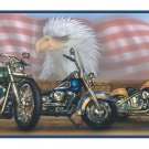 HARLEY DAVIDSON MOTORCYCLE FLAG WALLPAPER WALL BORDER
