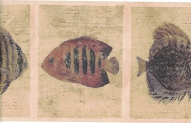 Fish Sea 513B59775 Wallpaper Border