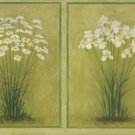 Flower SB10306B Wallpaper Border