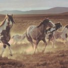 Horses B96510 Wallpaper Border