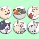 Cat memes ~ CHOOSE 1 ~ - 1.5 inch pinback button, clip or magnet