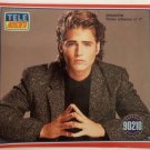 Beverly Hills- Brandon adhesive poster (New)