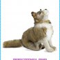 Posable 18" Wolf Pup