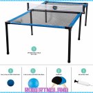 Spyderball Pong