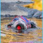All Terrain Waterproof Remote Control Tumbling Car