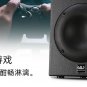 SUB-300 350W Professional Audio Subwoofer