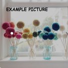 Pom Pom Flower Bouqet