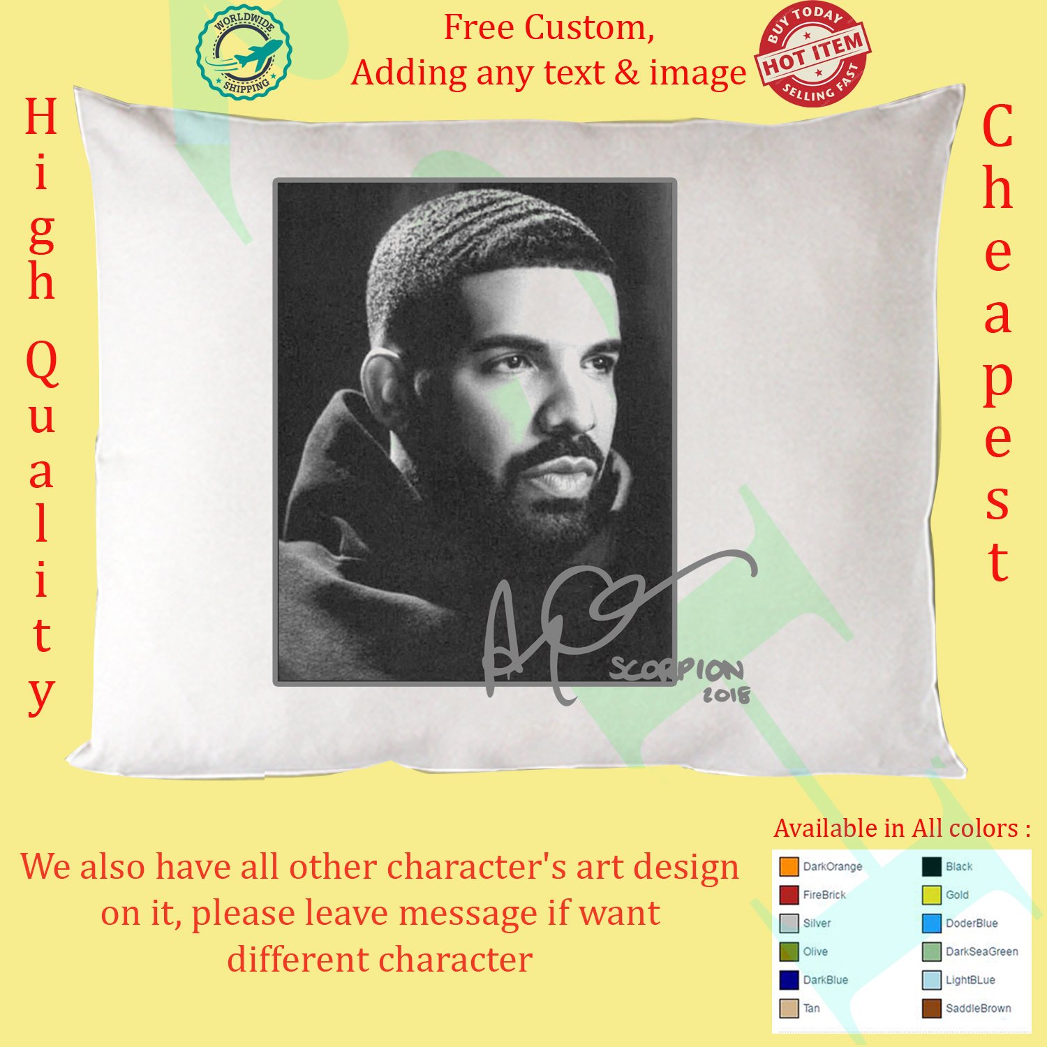 2 DRAKE CARE PACKAGE Concert Album Pillow Cases