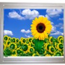 Buildings LCD AD Player(15 inch)