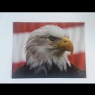 USA Flag Bald Eagle (D1) Poster - 8.5" x 11" - Free FC SH - Perfect for Framing!