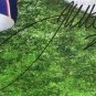 James White Signed Framed 16x20 Patriots Super Bowl 51 Touchdown Photo Fanatics