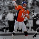 Peyton Manning Denver Broncos Unsigned 16x20 Photo