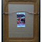 Megan Rapinoe Team USA Signed Framed 8x10 Celebration Photo JSA