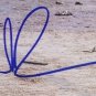 Norman Reedus Signed Framed 11x14 The Walking Dead Daryl Dixon Carnage Photo JSA