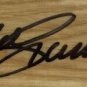 Mike Schmidt Signed Rawlings Big Stick Professional Model Baseball Bat Fanatics