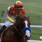 Mike Smith Signed 8x10 Belmont Stakes Photo JSA DD07065