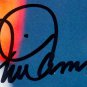 Mia Hamm Signed Framed USA Women's Soccer 8x10 Celebration Photo PSA