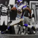 Adrian Peterson Unsigned 16x20 Minnesota Vikings Photofile Spotlight Photo