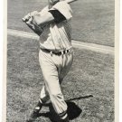 Ted Williams Signed 3x5 Boston Red Sox Photo