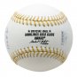 Roberto Alomar Indians Signed Official Gold Glove Baseball 10X GG JSA