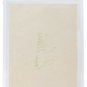 Roger Maris New York Yankees Signed Slabbed Cut BAS