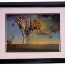 Salvador Dali The Temptation Of St Anthony Framed 14x17 High Quality Photo