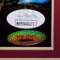 USA Women's Soccer Signed Framed 2015 World Cup 16x20 Photo 11 Sig JSA+TriStar